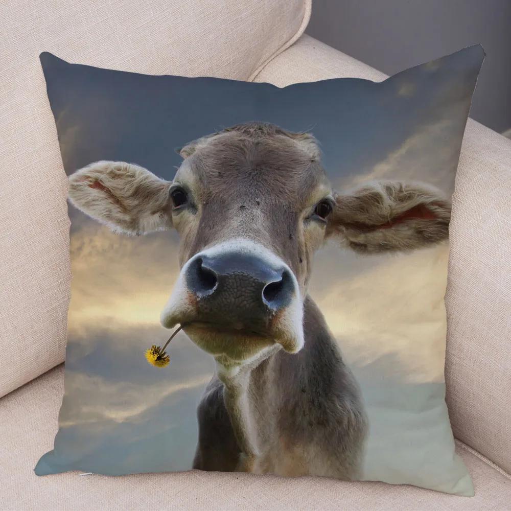 

Шотландия Кило Чехол на подушку Декор Дикая корова Красочный принт животного Наволочка Мягкий короткий плюш Наволочка для дома Дивана 45х45см 12x12Inch