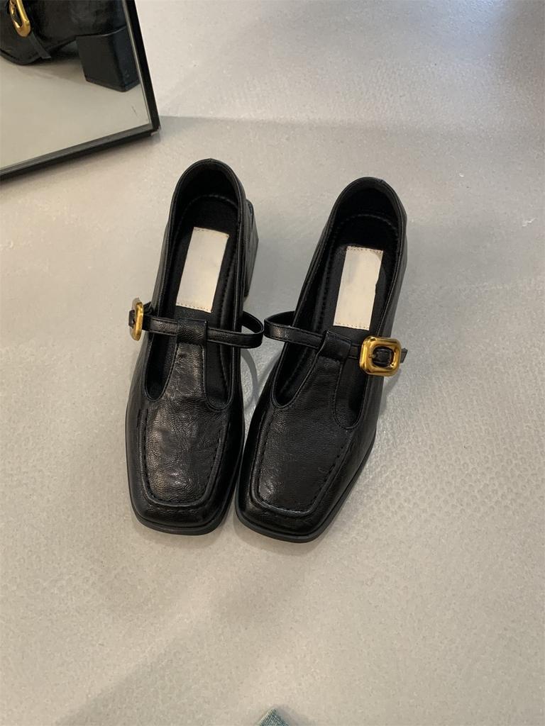 Retro Square Head Thick Heel Single Shoes Women's Spring and Autumn New Fairy High Heels Mary Jane Small Leather Shoes