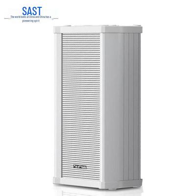 SAST Column Ceiling Speaker CN Plug (adapter Included)