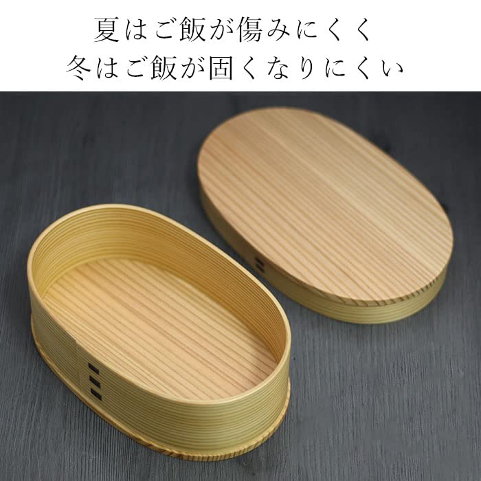 Magewappa Bento Box Small Bento Box Medium Akita Cedar Odate Kogeisha 650cc