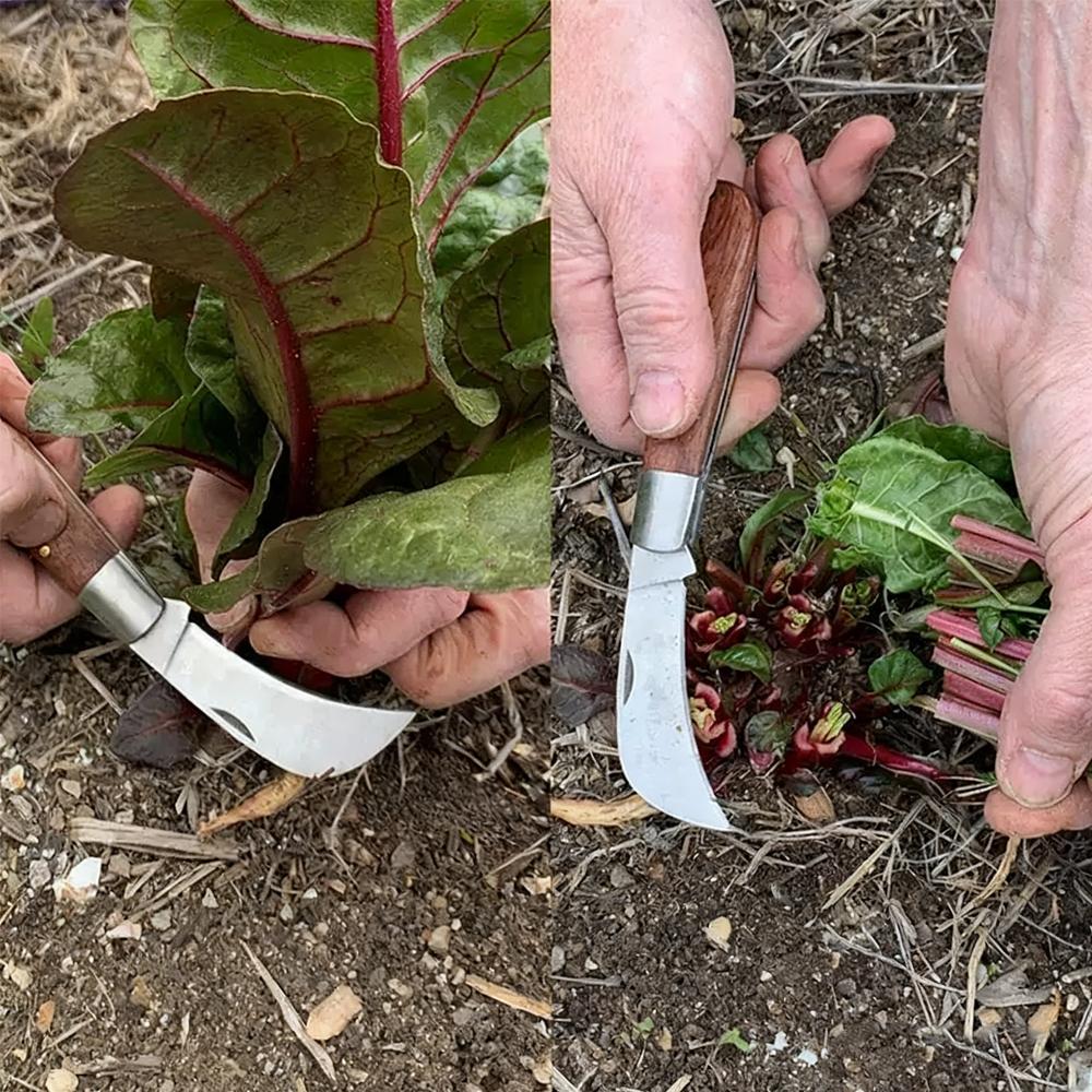 Garden Grafting Knife Budding Tool Double-Opening Folding Knife Stainless Steel Straight & Curved Blade Gardening Horticulture