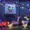 1 pezzo Luci Notturne a LED per Natale in Cortile Luce Esterna Decorazioni Giardino Ornamenti Gallina Luminescente Polli Pastorali Lampade