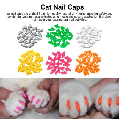 120Pcs Cat Nail Caps Natural Safe Cat Claw Covers Tips with Adhesives And Applicators Non-Toxic 6 Colors Cat Nail Covers