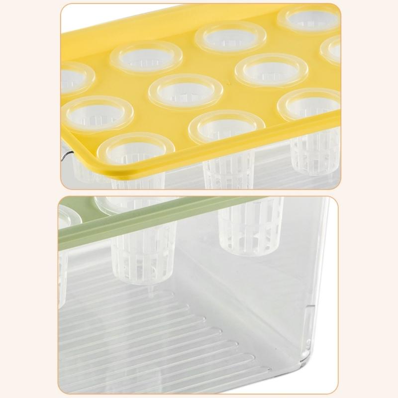 Visible Cultivation Tray Hydroponic Grower Box Container With Lid For Home Vegetables Water Based Gardening And Home Use
