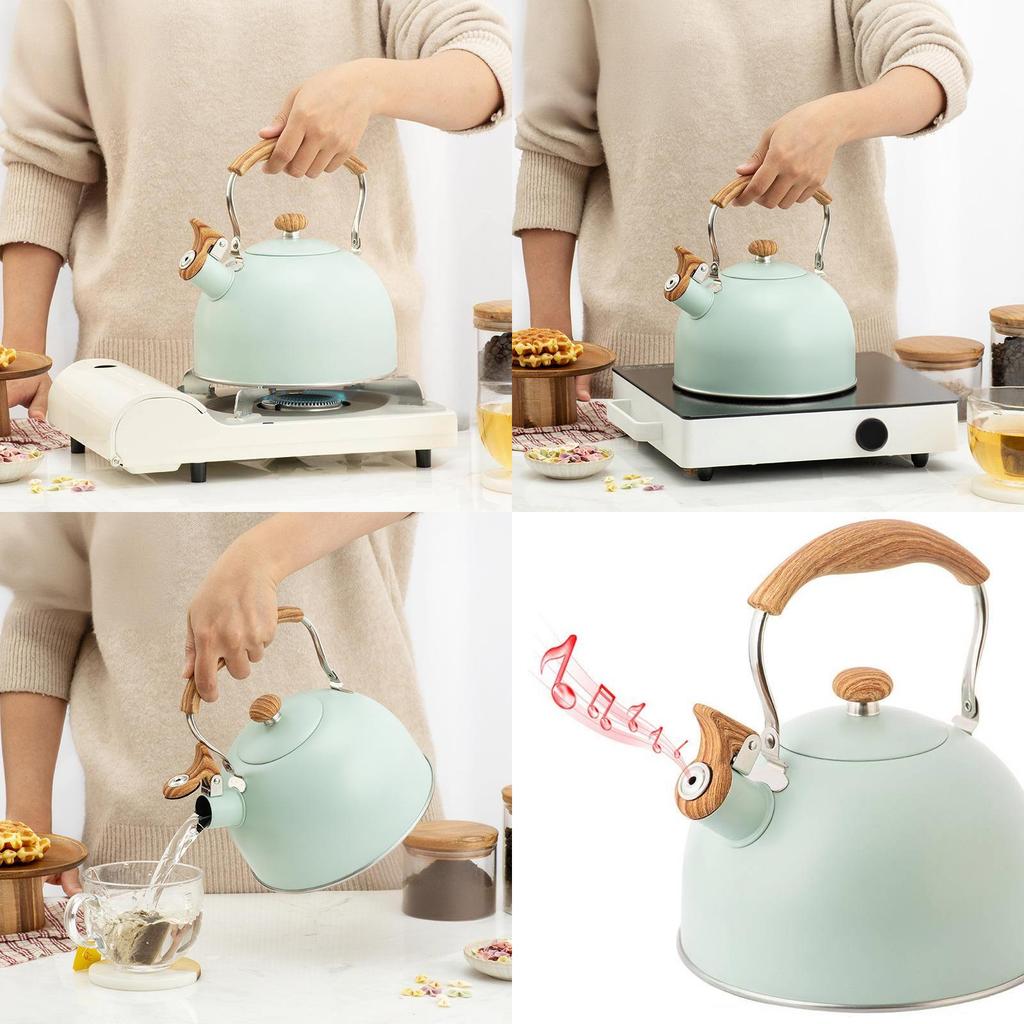 Modern Stainless Steel Whistle Kettle With Collapsible Handle For Home Kitchen And Gift Use