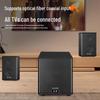 SAST A20 Home KTV Audio System with Bluetooth and Dual Mics CN plug (adapter included)