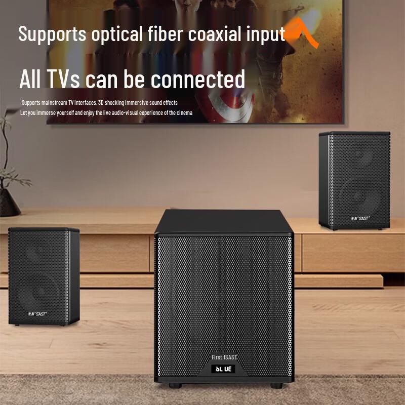 SAST A20 Home KTV Audio System with Bluetooth and Dual Mics CN plug (adapter included)