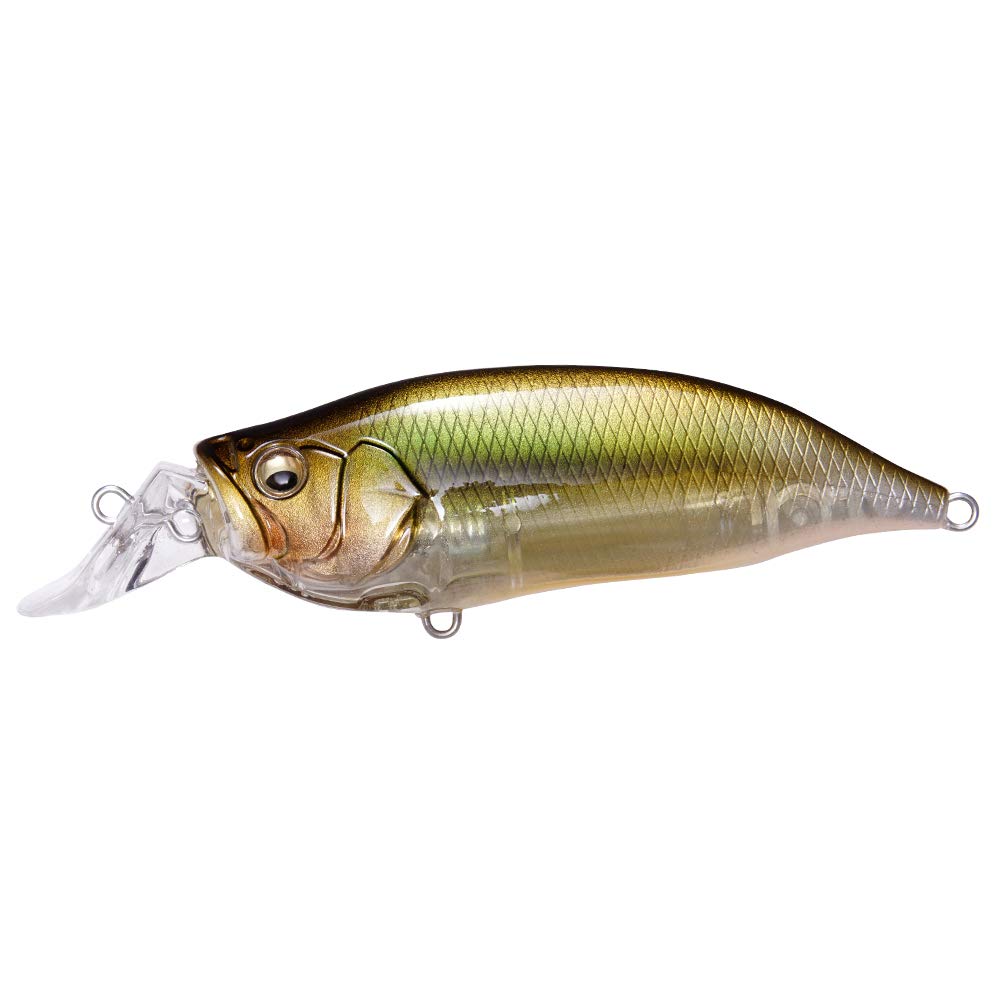 

Megabass Lure IXI SHAD ITO Moroko TYPE-R