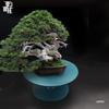 Bonsai Styling Turntable: 300kg Load, All-Steel Material
