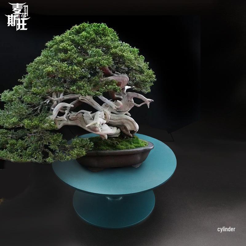 Bonsai Styling Turntable: 300kg Load, All-Steel Material