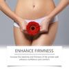 Gentle Moon North Womens Body Care Capsules Moisturizing Firming And Skin Balancing Treatment