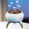 28dB Quiet Jellyfish Aroma Humidifier 7 Color Lights Cool Mist Humidifier  Aromatherapy