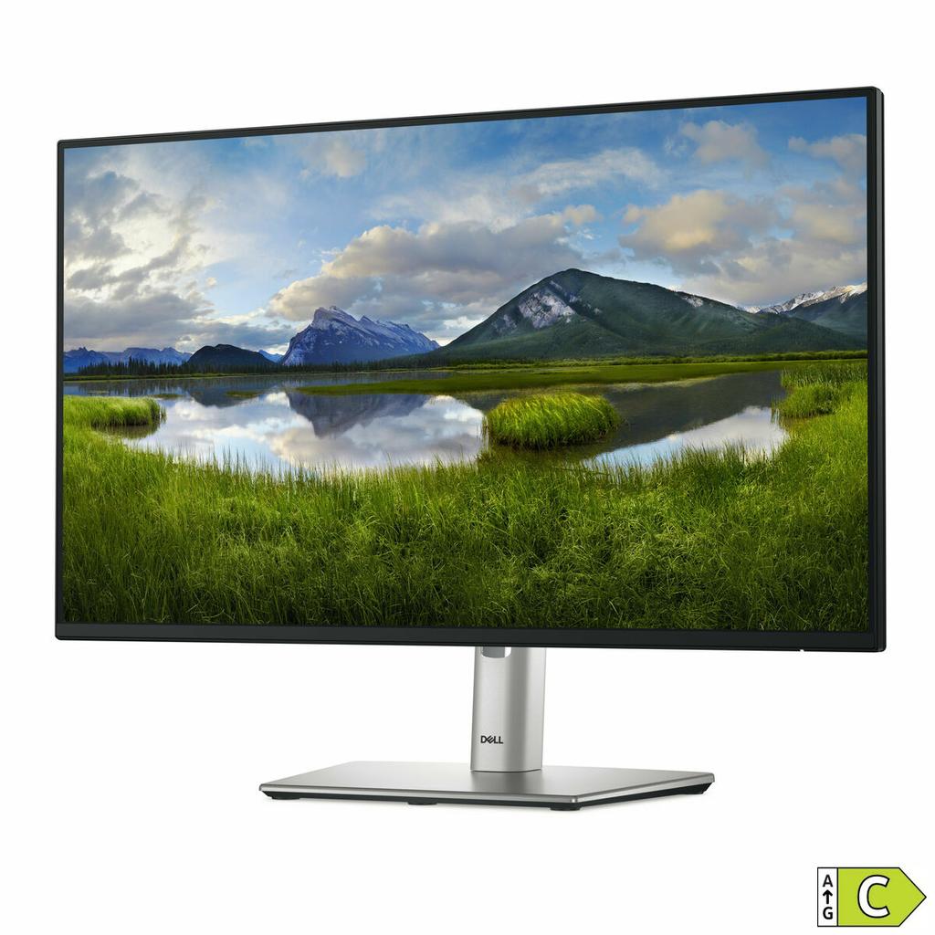 Monitor Dell P2425H 23,8" Full HD 100Hz