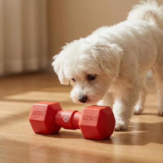 Yousheng Dog Barbell Chew Toy Interactive Squeaky Puppy Chew Toy Textured Tooth Cleaning Toy for Small to Large Dogs Aggressive