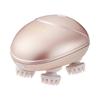 ESTH Lift Head [Electric Brush, Home Appliance, Warranty Included]