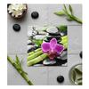 Pack of 20 Paper Napkins 33 X 33 Cm Zen Nature
