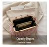 Stylish Korean Chain Bag 2025: Versatile Rose Fairy Handbag for Women