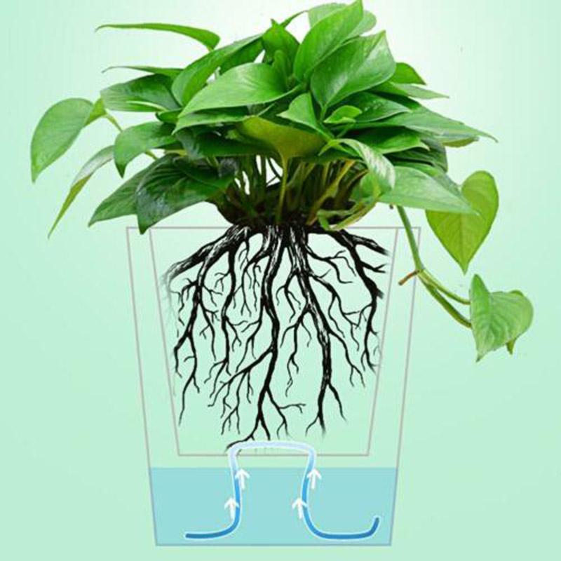 10M Self Watering Wick Cord Cotton Rope For Indoor Potted Plant Self-watering Diy Cotton Braided Rope Clothesline curtain rope