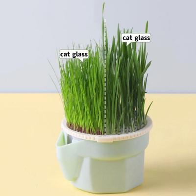 Květináče a truhlíky na zahradu – Sáčky na sazenice