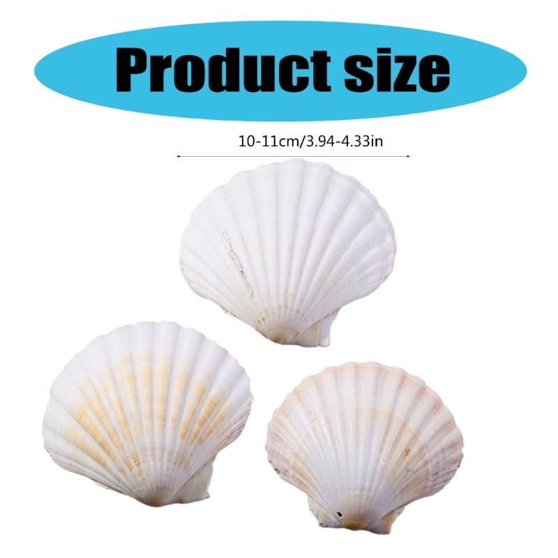 Víceúčelové balení 10 velkých přírodních mušlí hřebenatek pro řemeslné potřeby, stylový šperkový doplněk a dekorace do domácnosti