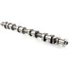 X190727  X190726   intake camshaft   Exhaust camshaft  for JAC V260 D19