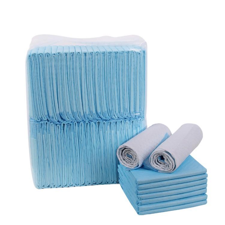 Pet Urine Deodorizing Absorbent Pads - Disposable Diapers for Dogs & Cats