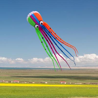 8M Flying Octopu with Handle Frameless for Beginners Long Tail