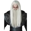 California Costumes Wizard Men's Wig & Beard Set 70900