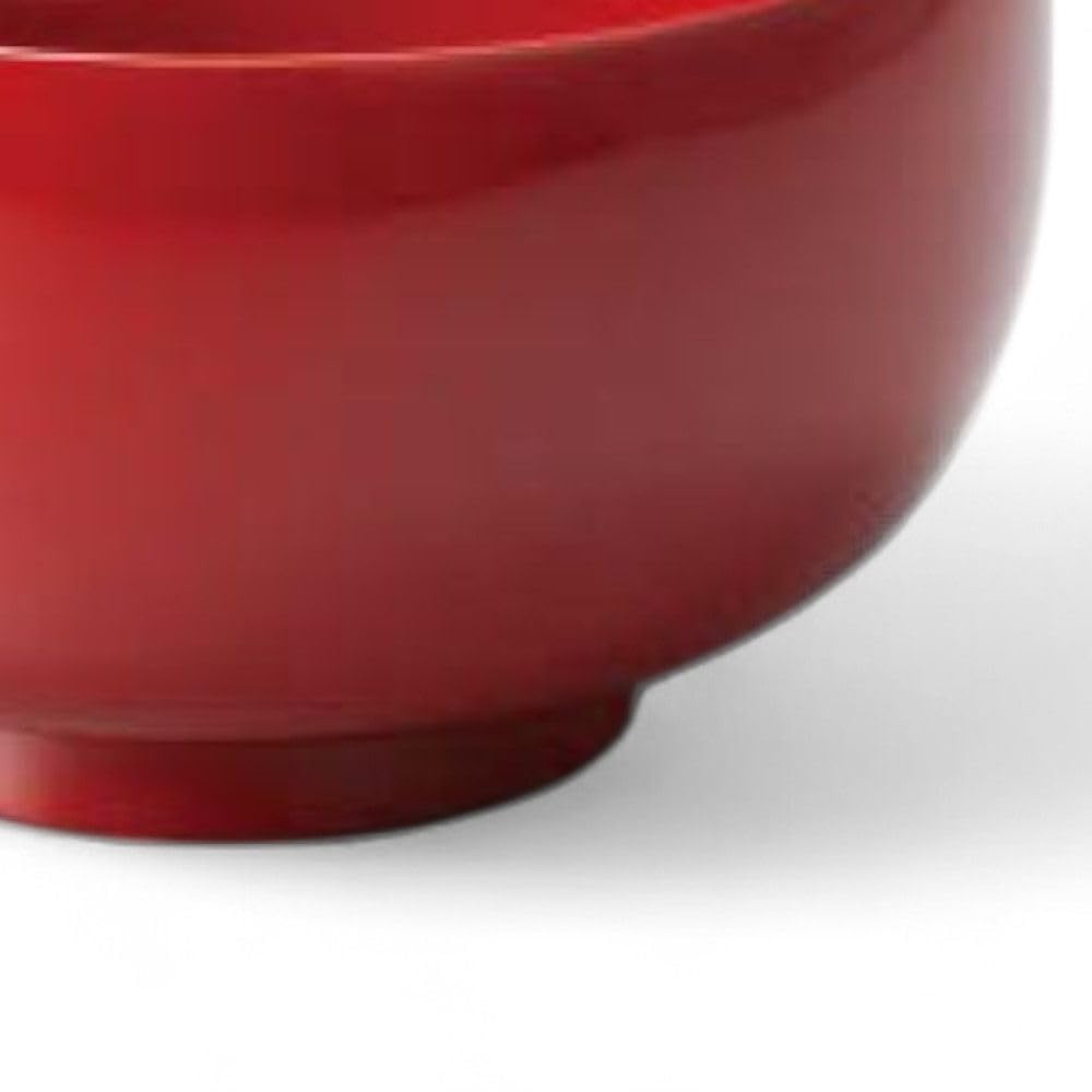Lacquerware Dishwasher Made in Japan J-kitchens Bowl, Hand-Painted, Safe, PID-528183,
