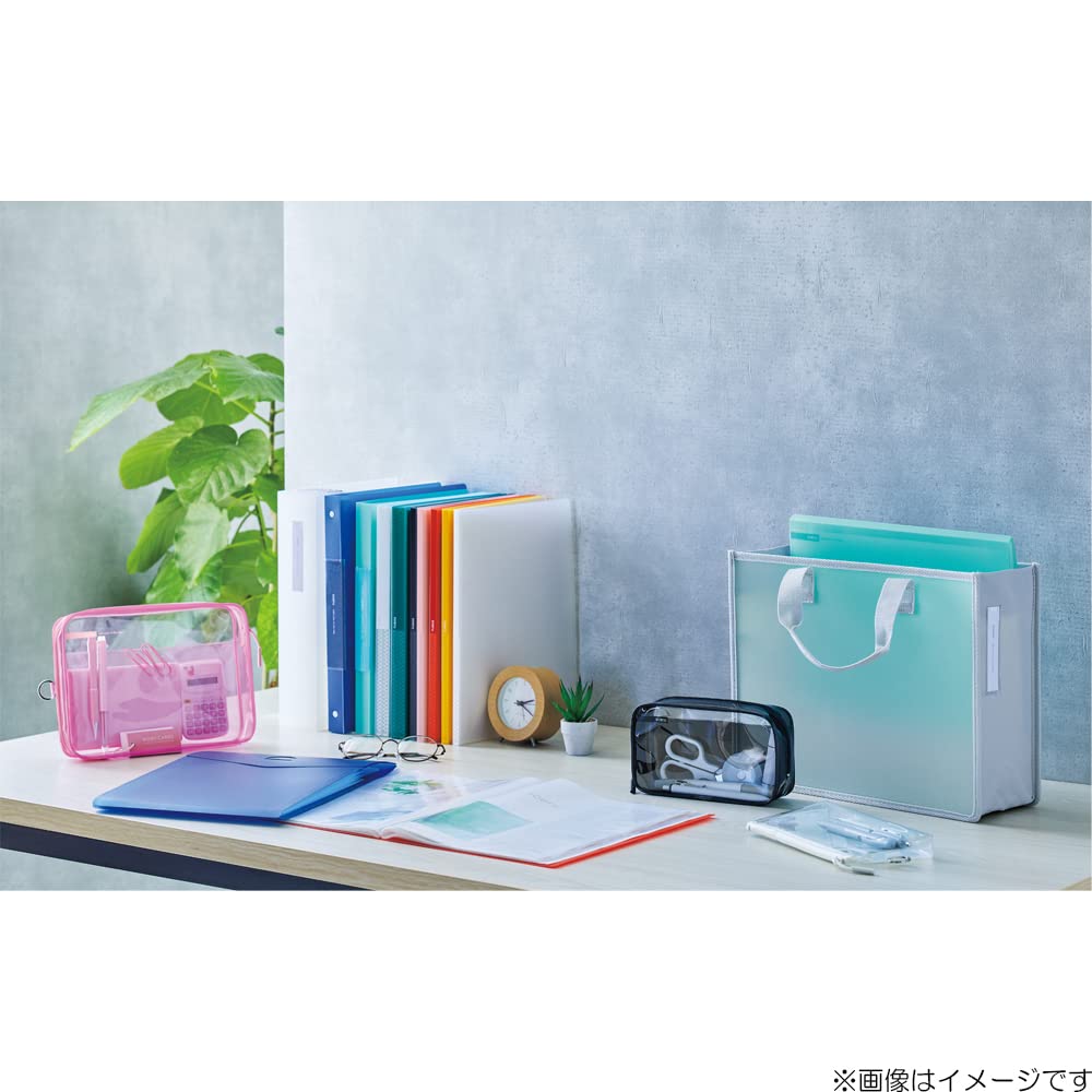 LIHIT LAB Clear Box Case A5 Frosted Clear SOERU F8200-1