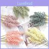 Triticum Aestivum Bouquet Collection Event Decor Artistic Supplies Displays