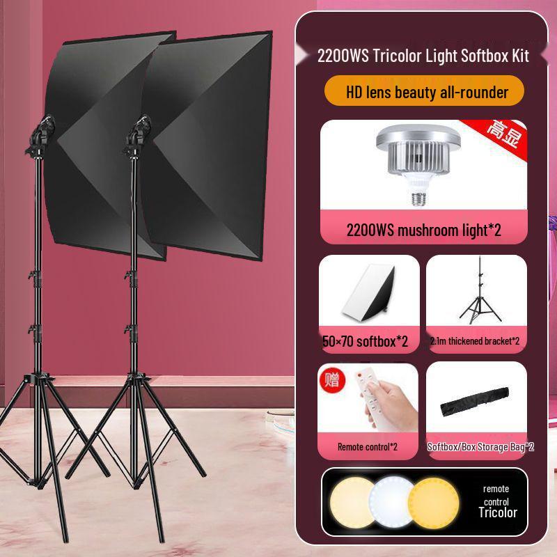 2200WS Super Bright Spherical Fill Light for Live Beauty, Photography, and Indoor Clothing Shoots
