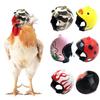 New Protective Chicken Helmet & Funny Headband for Small Pets