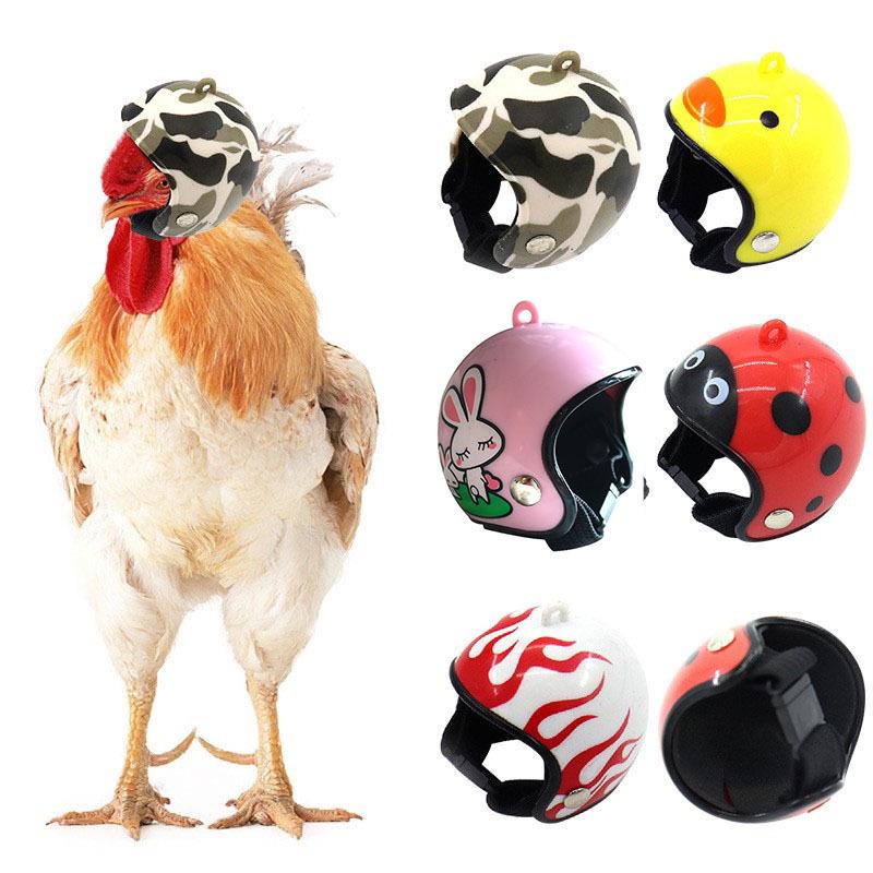 New Protective Chicken Helmet & Funny Headband for Small Pets