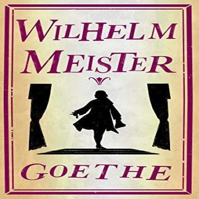 Wilhelm Meister by Johann Wolfgang Goethe Paperback Book 9781847498458