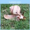 Childrens Educational Animal Model Toy Plastic Realistic Snail Garden Decor For Kids Learning