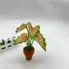 Miniature Clear Vase Model 1/12 Scale Dollhouse Resin Craft Fairy Garden Landscape DIY Decor