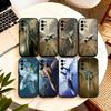 Huse pentru telefoane – Huse tip bumper pentru telefon