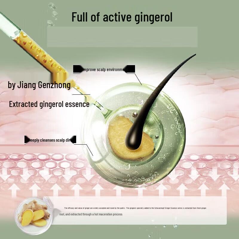 Schwarzkopf Ginger Essence Conditioner 400ml