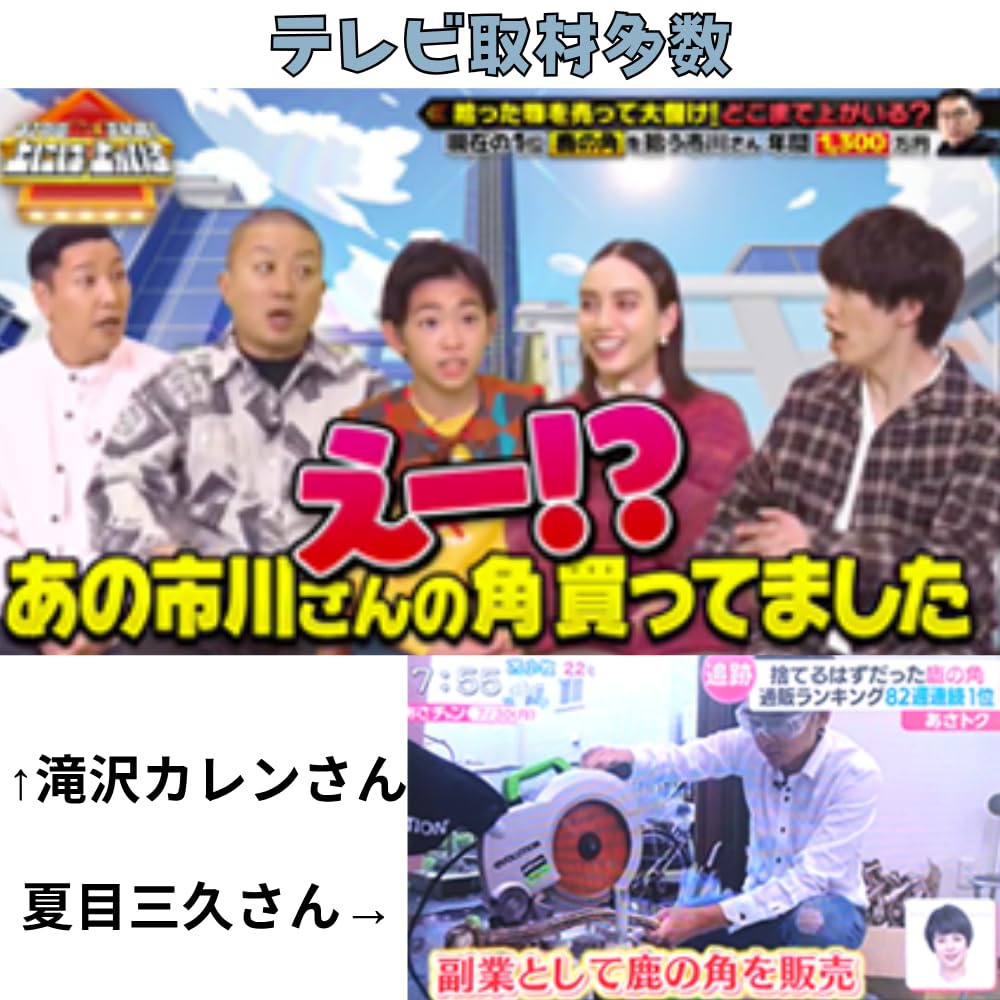 Hokkaido Deer Antler Dog Toy to Medium Thick (Large Dogs, Type, 25cm)