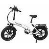 PULUMA EB FM-20 City Commuting Electric Bicycle 48V15Ah Battery 500W Motor 20 Inch Fat Tires 40KM/H Top Speed 150KG Max Load Folding E-Bike