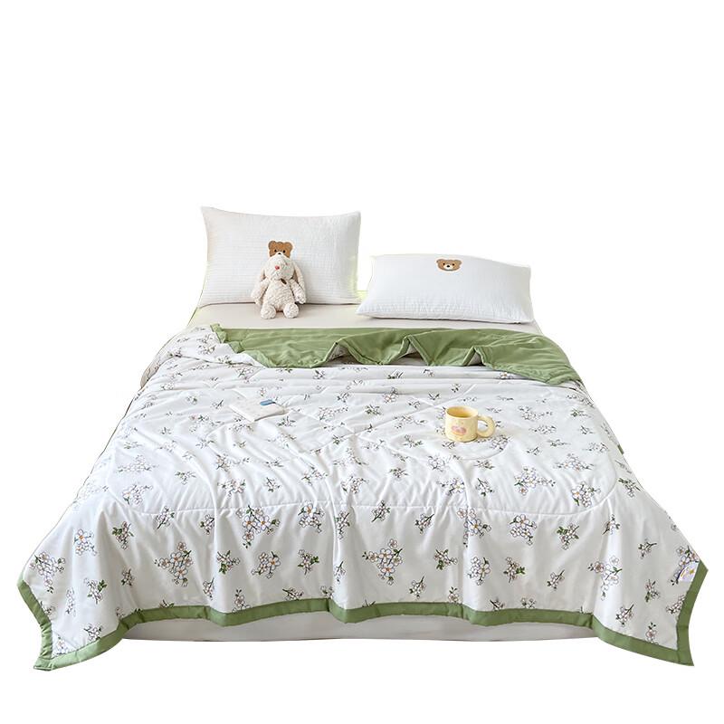 

Paul David All-Season Skin-Friendly Quilt