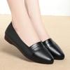 Flat Women Shoes Genuine Leather Women's Spring Shoes Large Size Slip-on Middle-aged Mother Women's Shoes