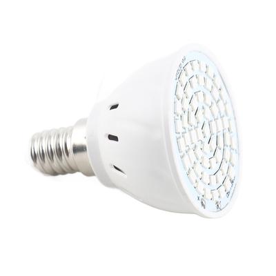 LED Grow Light Bulb for Indoor Plants Red and Blue Spectrum LED Plant Light Bulb E14 Growing Lamp
