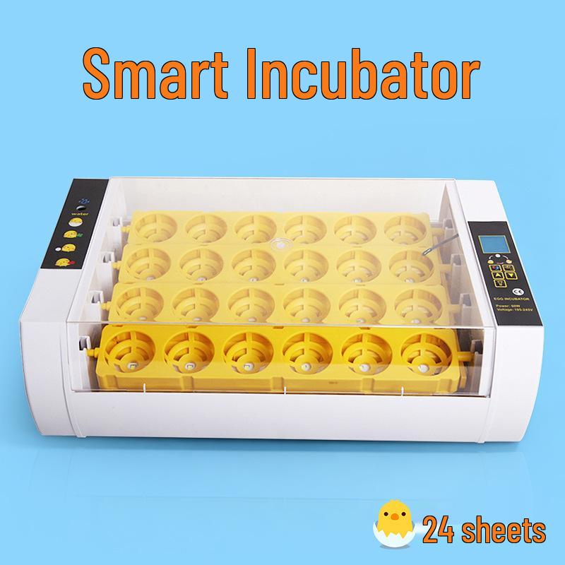 Smart Mini Egg Incubator for Parrots and Budgies: Automatic Pet Hatchery Equipment