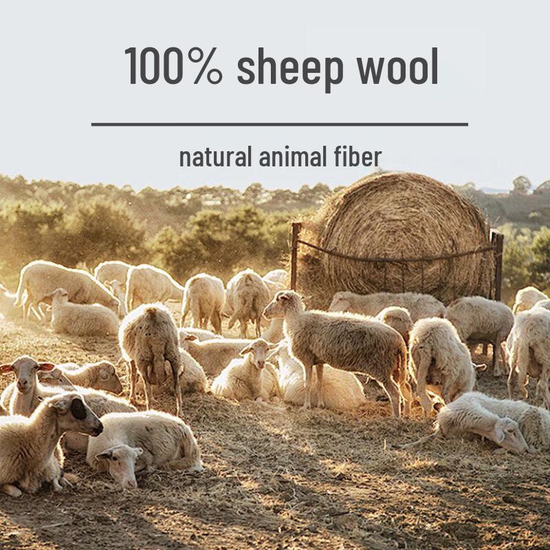 Hengyuanxiang Men's 100% Wool Round Neck Pullover