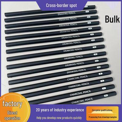 Beginner & Elementary 2B Sketch Pencil Set for Professionals