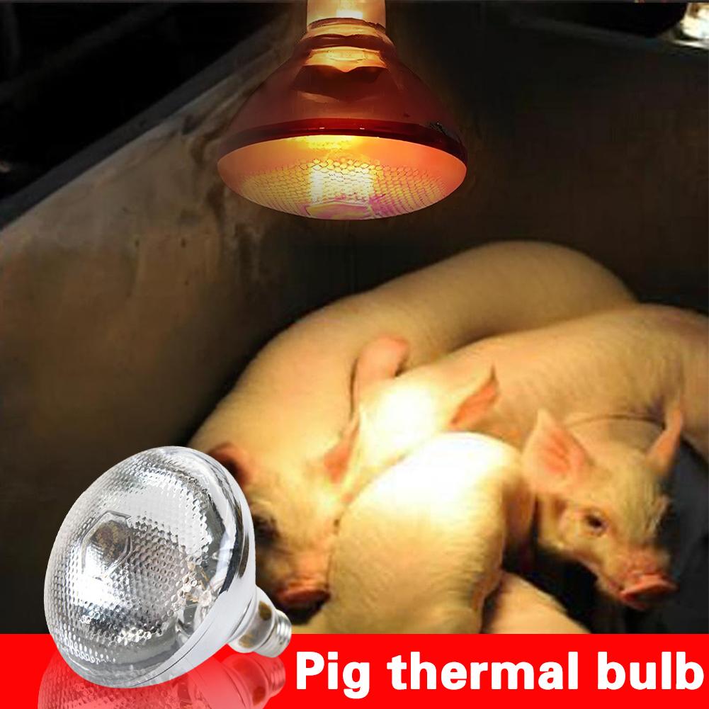 250W Infrared Heat Lamp E27 Waterproof Anti-Explosion Thickened Light Bulbs Heat Lamp Thermal Preservation For Piglet Chicken