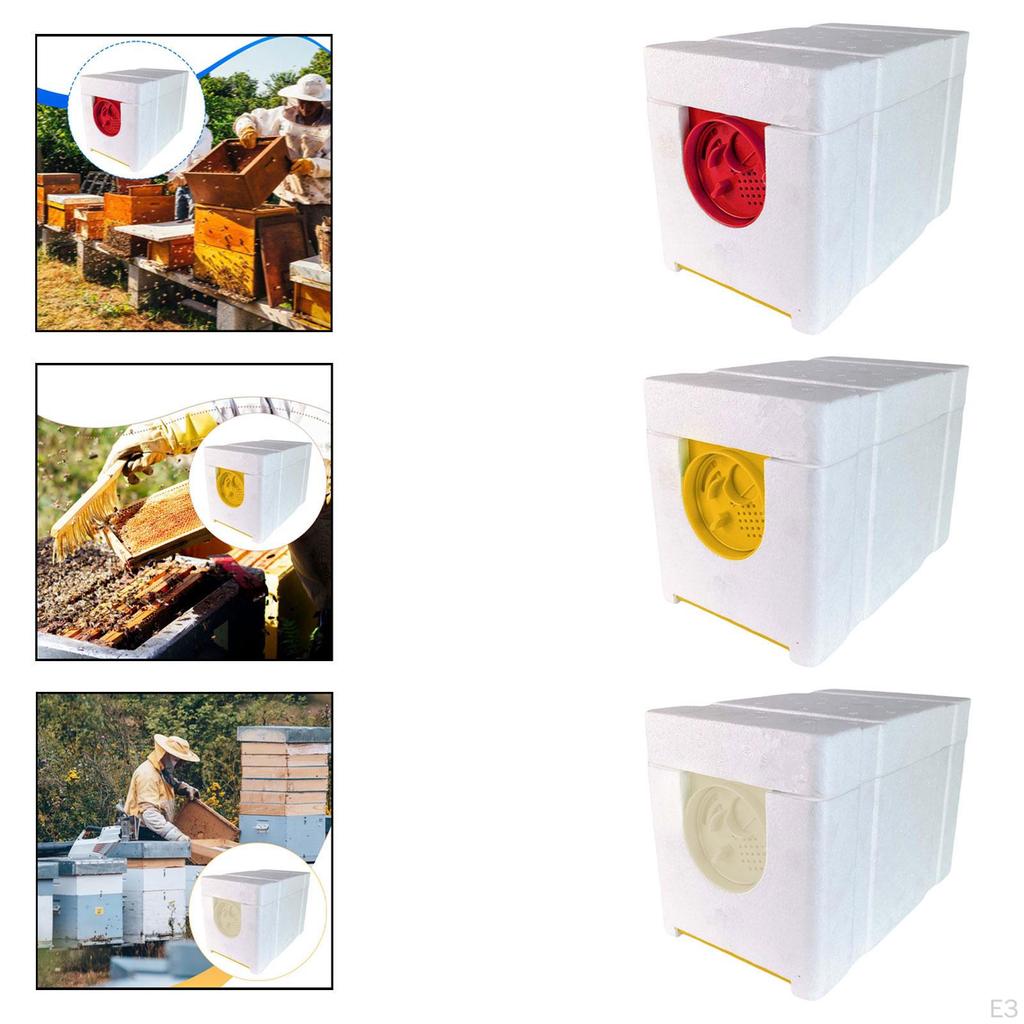 Bee Breeding Box, Mating with 4-frame Box for NUC
