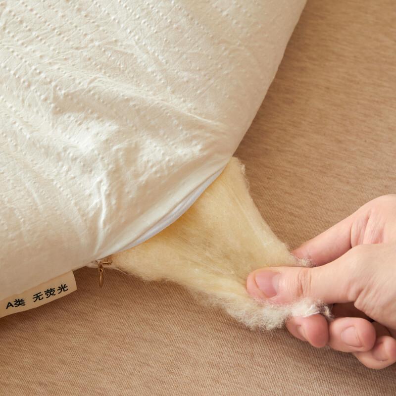 JieLiYa Soft Winter Quilt